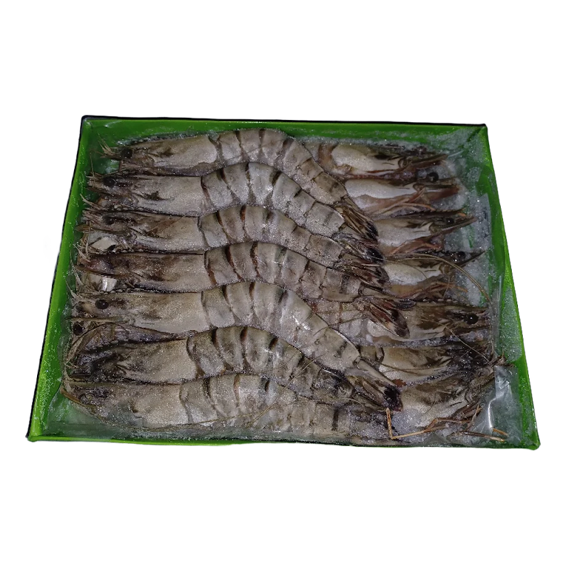 Black Tiger Garnelen 13/15 - Tiefgefroren 800g