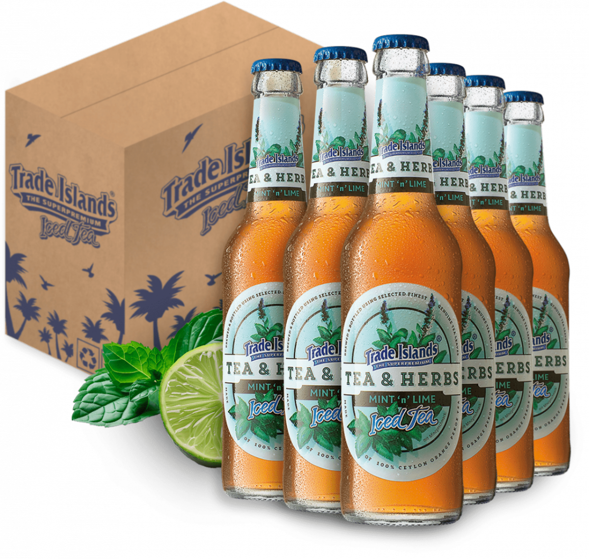 Trade Islands Iced Tea - Mint'n Lime 6 Flasche x 0,33 lt.