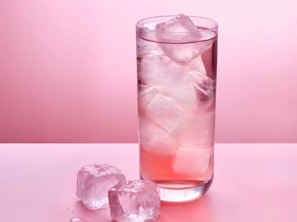 Walter Gott Factory Solid Ice Cubes 5kg